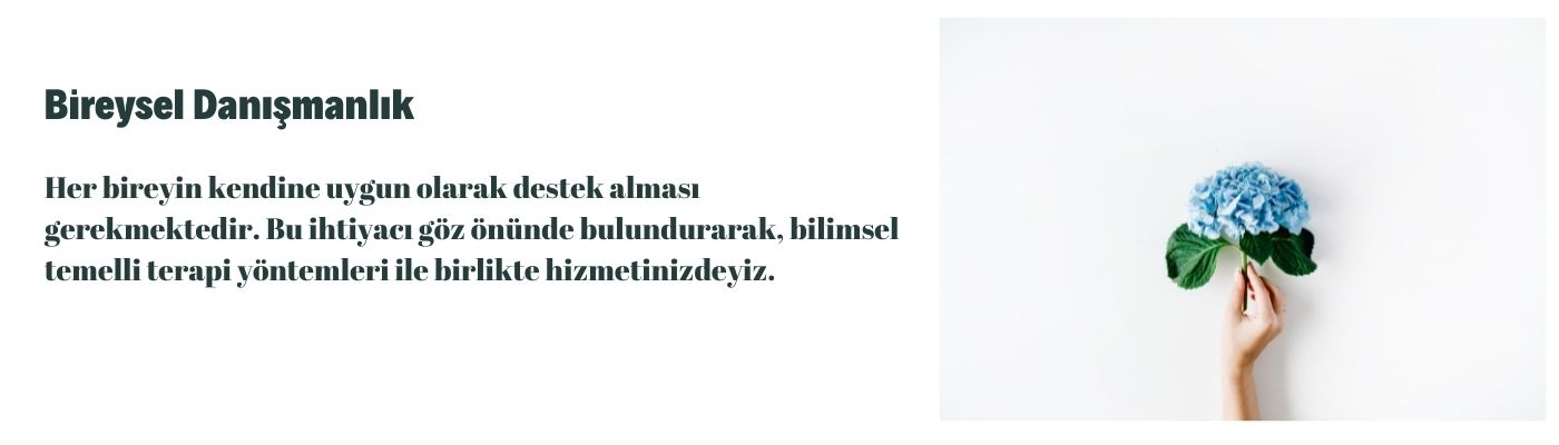 Bireysel Danışmanlık
